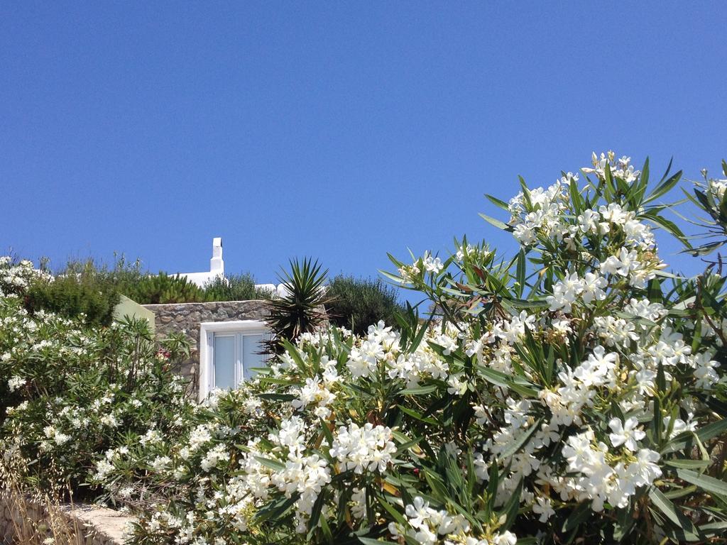 Mykonos Love Nest Ano Mera Zimmer foto